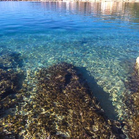 Apartmani Malis Ražanj Dış mekan fotoğraf